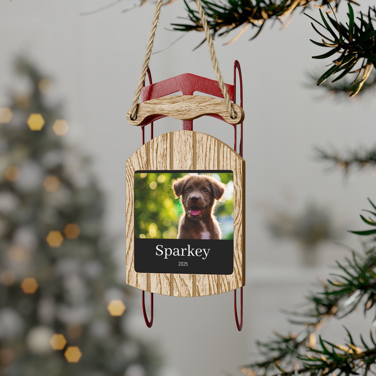 Sled Ornaments | Custom Pet Photo